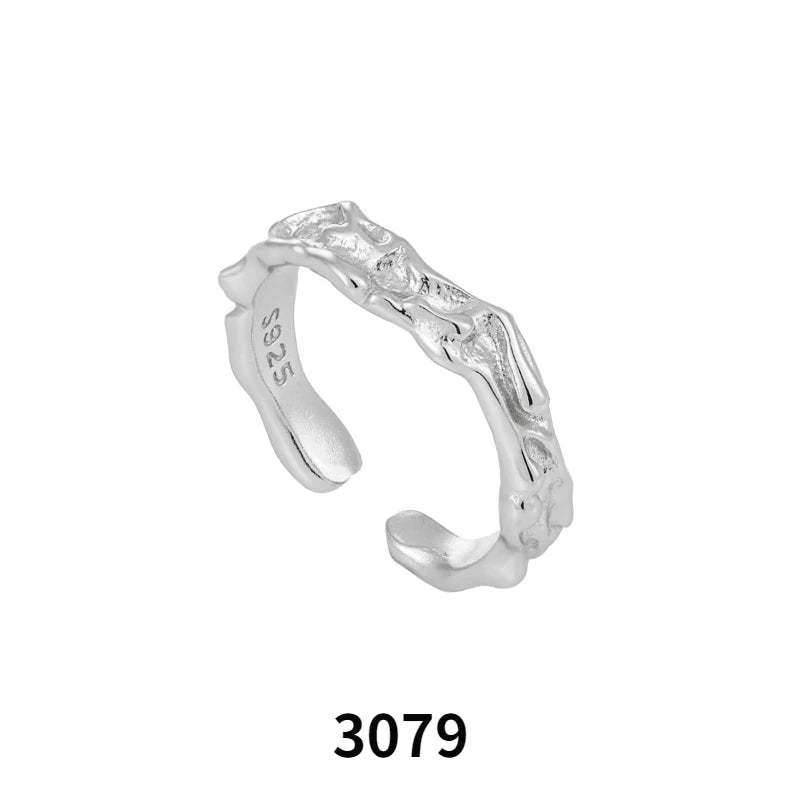 20240605 / Silver-3079 / resizable